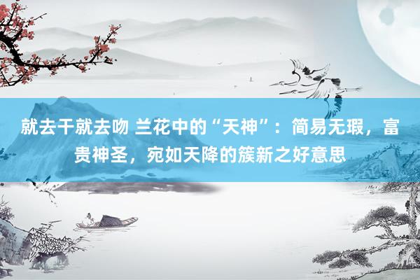 就去干就去吻 兰花中的“天神”：简易无瑕，富贵神圣，宛如天降的簇新之好意思