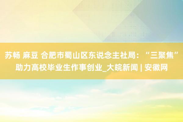 苏畅 麻豆 合肥市蜀山区东说念主社局：“三聚焦”助力高校毕业生作事创业_大皖新闻 | 安徽网