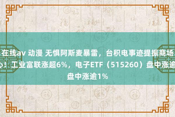 在线av 动漫 无惧阿斯麦暴雷，台积电事迹提振商场信心！工业富联涨超6%，电子ETF（515260）盘中涨逾1%