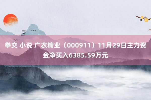 拳交 小说 广农糖业（000911）11月29日主力资金净买入6385.59万元