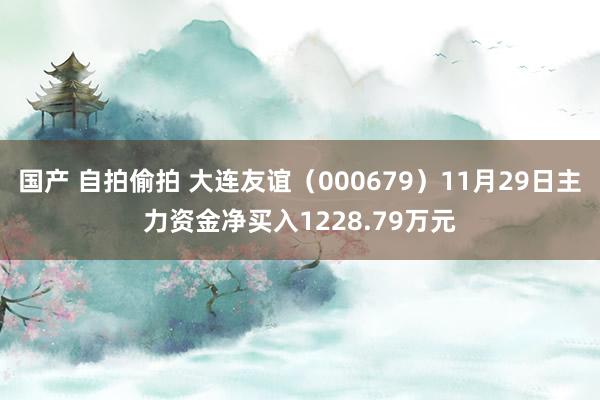 国产 自拍偷拍 大连友谊（000679）11月29日主力资金净买入1228.79万元