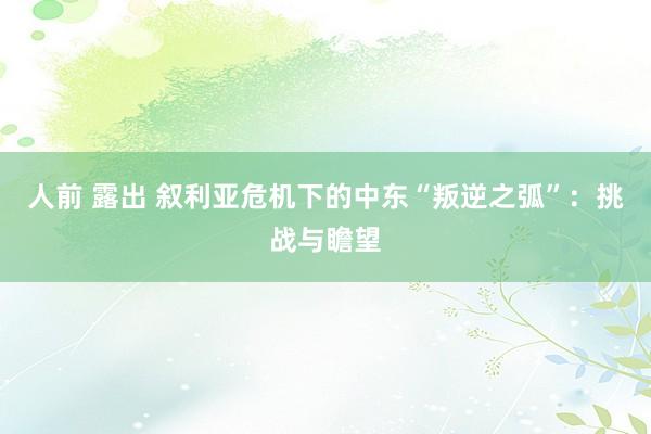 人前 露出 叙利亚危机下的中东“叛逆之弧”：挑战与瞻望
