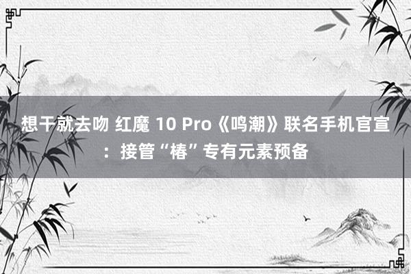 想干就去吻 红魔 10 Pro《鸣潮》联名手机官宣：接管“椿”专有元素预备