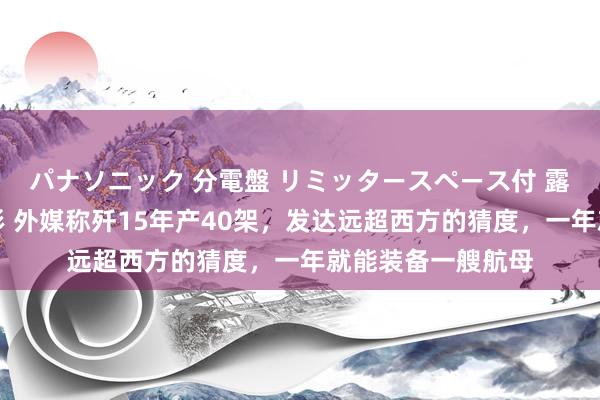 パナソニック 分電盤 リミッタースペース付 露出・半埋込両用形 外媒称歼15年产40架，发达远超西方的猜度，一年就能装备一艘航母