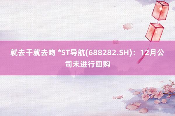 就去干就去吻 *ST导航(688282.SH)：12月公司未进行回购