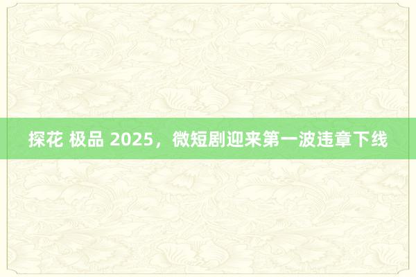 探花 极品 2025，微短剧迎来第一波违章下线