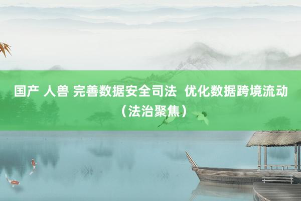 国产 人兽 完善数据安全司法  优化数据跨境流动（法治聚焦）