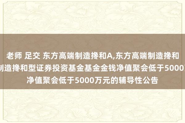 老师 足交 东方高端制造搀和A，东方高端制造搀和C: 对于东方高端制造搀和型证券投资基金基金金钱净值聚会低于5000万元的辅导性公告