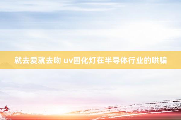 就去爱就去吻 uv固化灯在半导体行业的哄骗