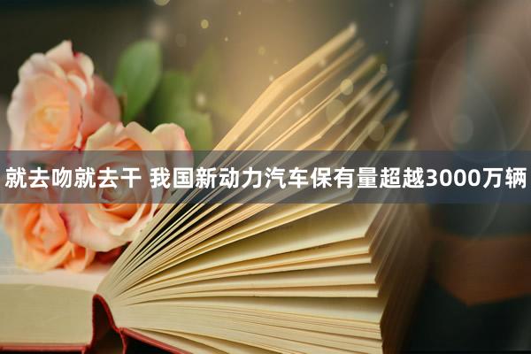 就去吻就去干 我国新动力汽车保有量超越3000万辆