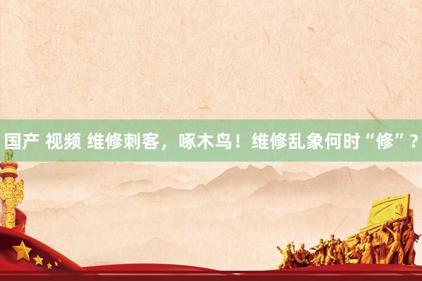 国产 视频 维修刺客，啄木鸟！维修乱象何时“修”？