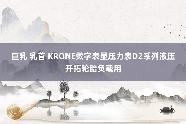 巨乳 乳首 KRONE数字表显压力表D2系列液压开拓轮胎负载用