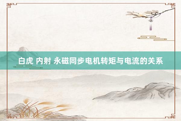 白虎 内射 永磁同步电机转矩与电流的关系