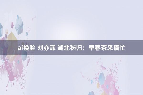 ai换脸 刘亦菲 湖北秭归：早春茶采摘忙