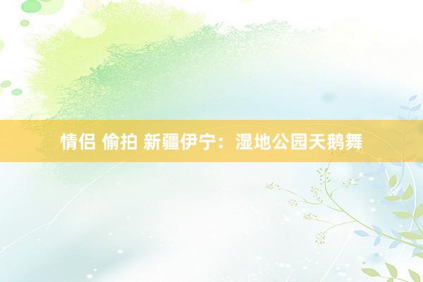 情侣 偷拍 新疆伊宁：湿地公园天鹅舞