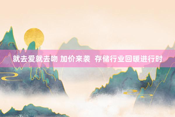 就去爱就去吻 加价来袭  存储行业回暖进行时