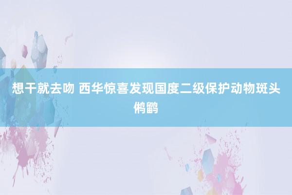 想干就去吻 西华惊喜发现国度二级保护动物斑头鸺鹠