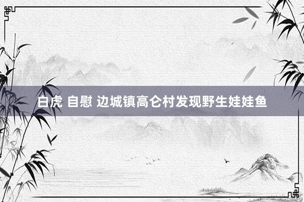 白虎 自慰 边城镇高仑村发现野生娃娃鱼