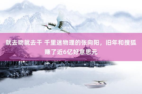 就去吻就去干 千里迷物理的张向阳，旧年和搜狐赚了近6亿好意思元