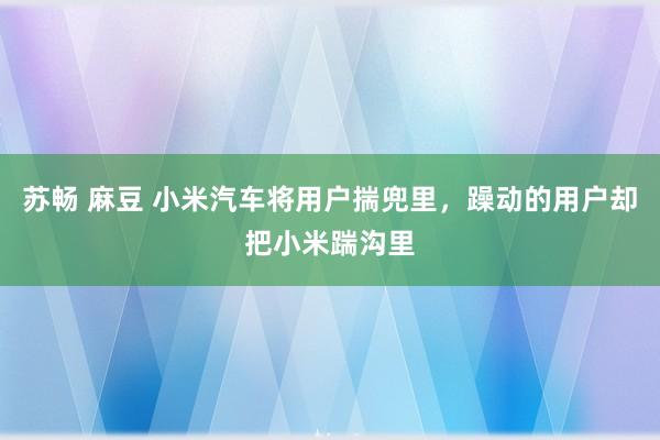 苏畅 麻豆 小米汽车将用户揣兜里，躁动的用户却把小米踹沟里