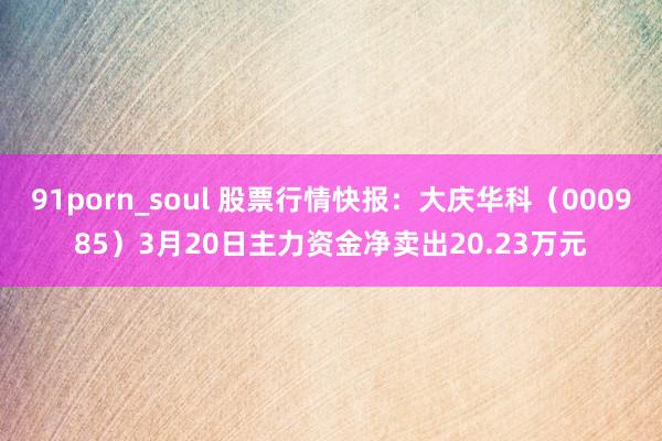91porn_soul 股票行情快报：大庆华科（000985）3月20日主力资金净卖出20.23万元