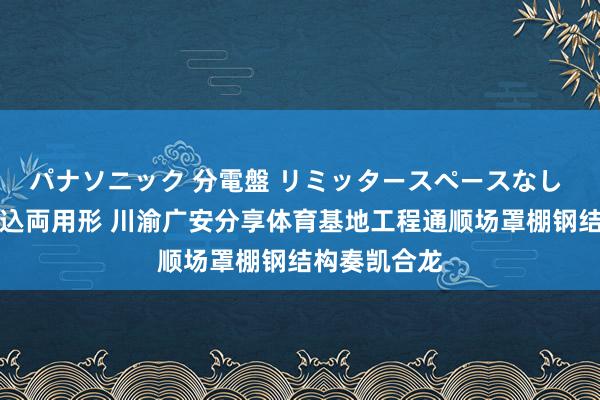 パナソニック 分電盤 リミッタースペースなし 露出・半埋込両用形 川渝广安分享体育基地工程通顺场罩棚钢结构奏凯合龙