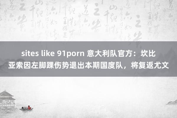 sites like 91porn 意大利队官方：坎比亚索因左脚踝伤势退出本期国度队，将复返尤文