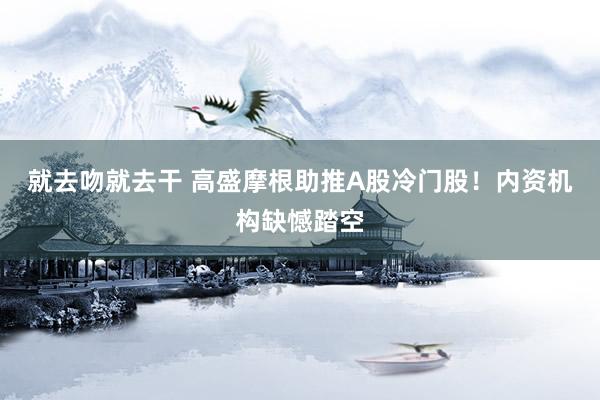 就去吻就去干 高盛摩根助推A股冷门股！内资机构缺憾踏空