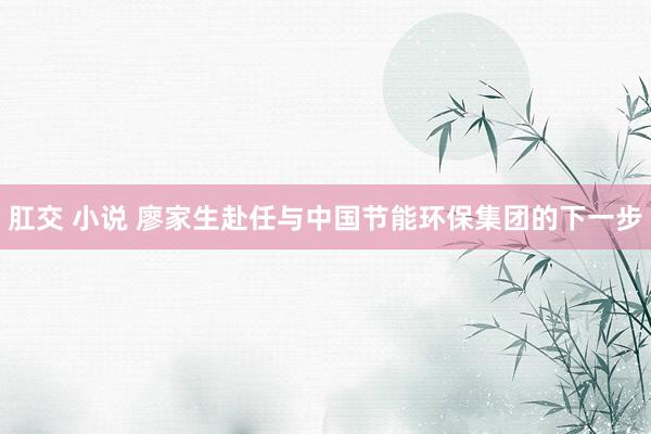 肛交 小说 廖家生赴任与中国节能环保集团的下一步
