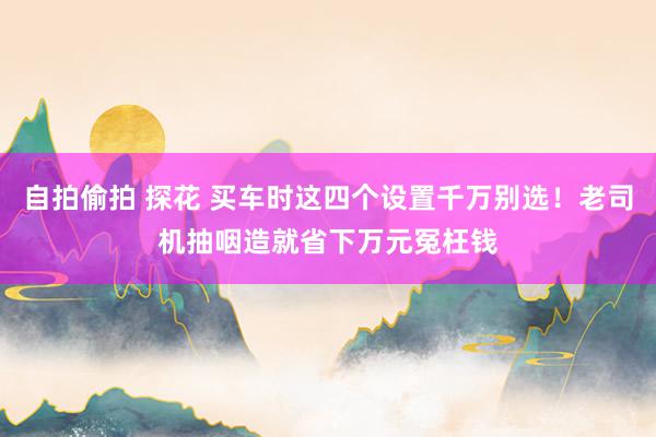 自拍偷拍 探花 买车时这四个设置千万别选！老司机抽咽造就省下万元冤枉钱