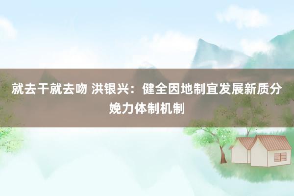 就去干就去吻 洪银兴：健全因地制宜发展新质分娩力体制机制