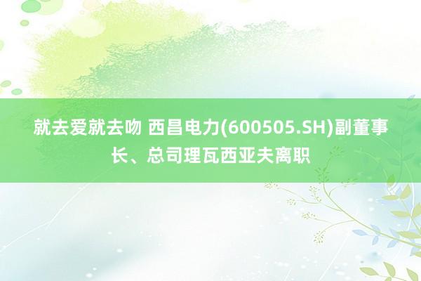 就去爱就去吻 西昌电力(600505.SH)副董事长、总司理瓦西亚夫离职