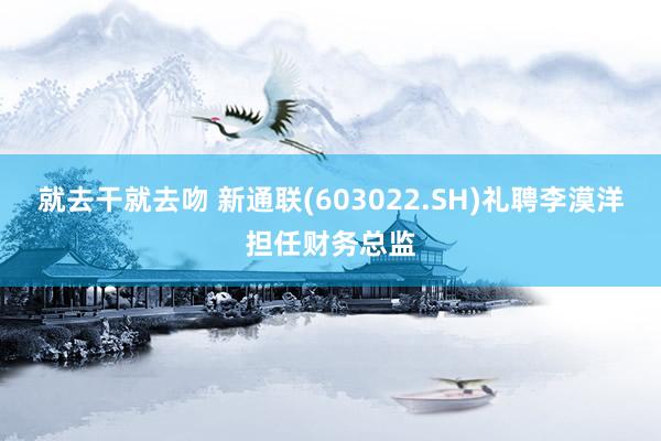 就去干就去吻 新通联(603022.SH)礼聘李漠洋担任财务总监