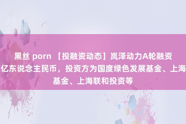 黑丝 porn 【投融资动态】岚泽动力A轮融资，融资额数亿东说念主民币，投资方为国度绿色发展基金、上海联和投资等