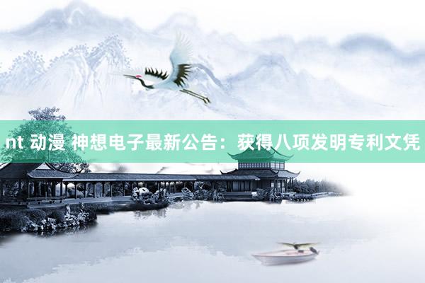 nt 动漫 神想电子最新公告：获得八项发明专利文凭