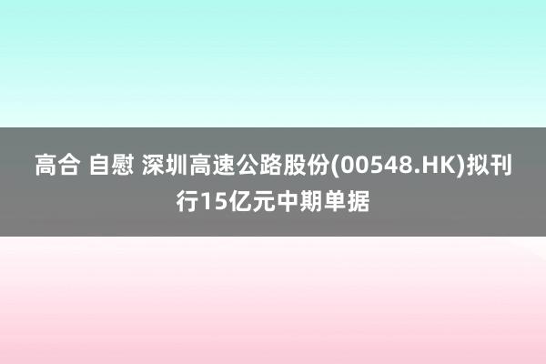 高合 自慰 深圳高速公路股份(00548.HK)拟刊行15亿元中期单据