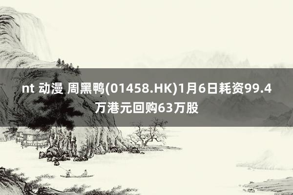 nt 动漫 周黑鸭(01458.HK)1月6日耗资99.4万港元回购63万股