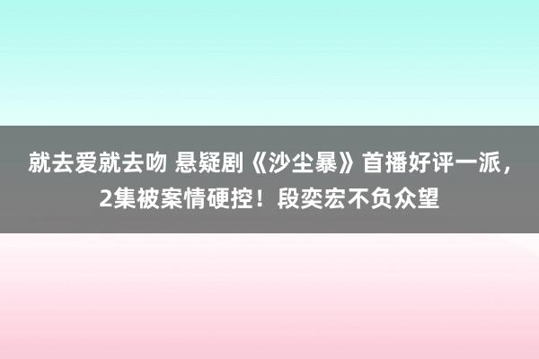 就去爱就去吻 悬疑剧《沙尘暴》首播好评一派，2集被案情硬控！段奕宏不负众望