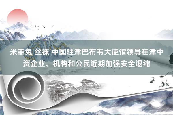 米菲兔 丝袜 中国驻津巴布韦大使馆领导在津中资企业、机构和公民近期加强安全退缩