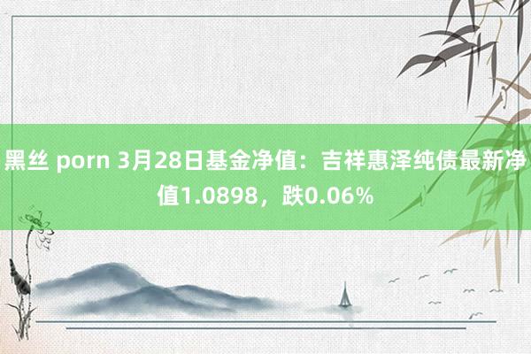 黑丝 porn 3月28日基金净值：吉祥惠泽纯债最新净值1.0898，跌0.06%