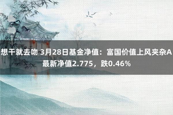 想干就去吻 3月28日基金净值：富国价值上风夹杂A最新净值2.775，跌0.46%