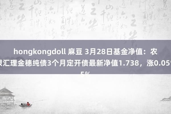 hongkongdoll 麻豆 3月28日基金净值：农银汇理金穗纯债3个月定开债最新净值1.738，涨0.05%
