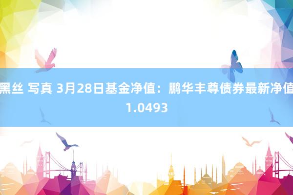 黑丝 写真 3月28日基金净值：鹏华丰尊债券最新净值1.0493