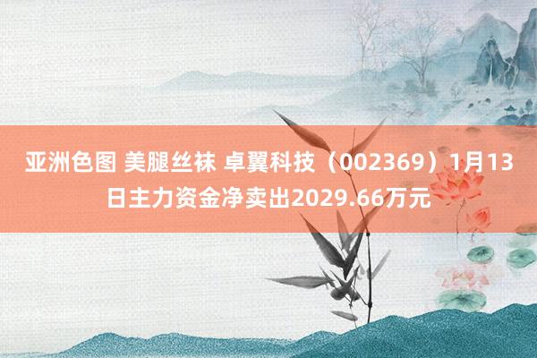 亚洲色图 美腿丝袜 卓翼科技（002369）1月13日主力资金净卖出2029.66万元