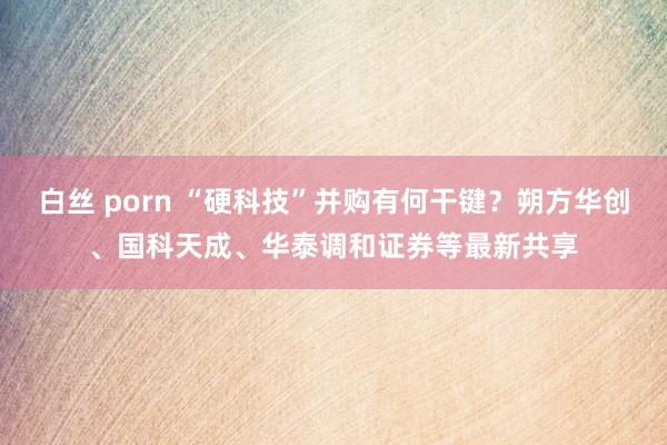 白丝 porn “硬科技”并购有何干键？朔方华创、国科天成、华泰调和证券等最新共享