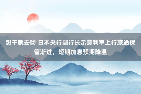想干就去吻 日本央行副行长示意利率上行旅途保管渐进，短期加息预期降温