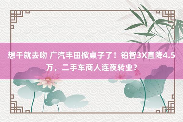 想干就去吻 广汽丰田掀桌子了！铂智3X直降4.5万，二手车商人连夜转业？