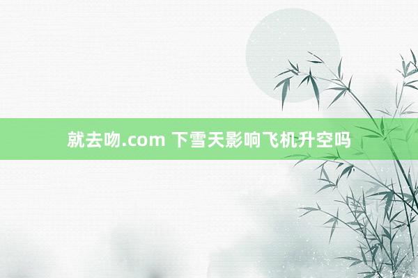 就去吻.com 下雪天影响飞机升空吗