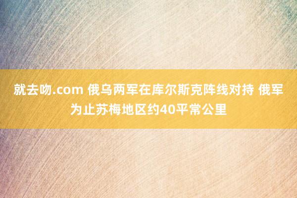 就去吻.com 俄乌两军在库尔斯克阵线对持 俄军为止苏梅地区约40平常公里