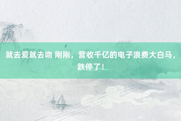 就去爱就去吻 刚刚，营收千亿的电子浪费大白马，跌停了！